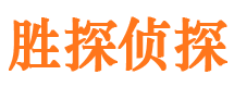 东洲市私家侦探